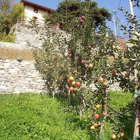 Au Jardin Fleuri مزرعة للإقامة