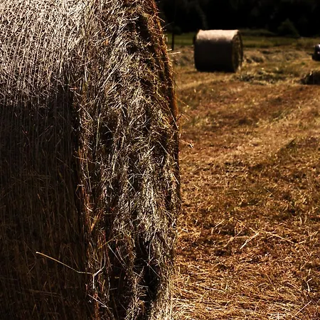 Séjour à la ferme Au Jardin Fleuri *